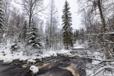 Orman nehri ile kış manzarası. Prokinkoski Şelalesi. Eski Finlandiya barajının kalıntıları, 1922. Khikhniyoki Nehri, Karelia Cumhuriyeti, Rusya