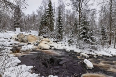 Orman nehri ile kış manzarası. Prokinkoski Şelalesi. Eski Finlandiya barajının kalıntıları, 1922. .Khikhniyoki nehri, Karelia Cumhuriyeti, Rusya