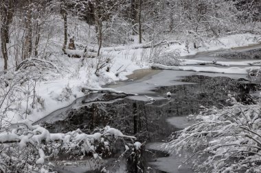 Orman nehri ile kış manzarası. Khikhniyoki nehrindeki ağaçların yansımaları, Karelia Cumhuriyeti, Rusya