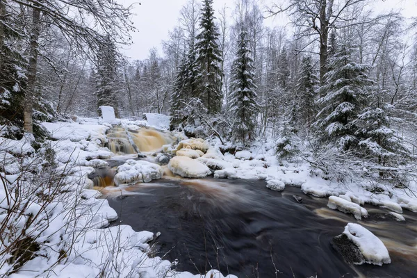 Orman nehri ile kış manzarası. Prokinkoski Şelalesi. Eski Finlandiya barajının kalıntıları, 1922. .Khikhniyoki nehri, Karelia Cumhuriyeti, Rusya