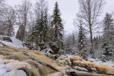 Orman nehri ile kış manzarası. Prokinkoski Şelalesi. Eski Finlandiya barajının kalıntıları, 1922. Khikhniyoki Nehri, Karelia Cumhuriyeti, Rusya