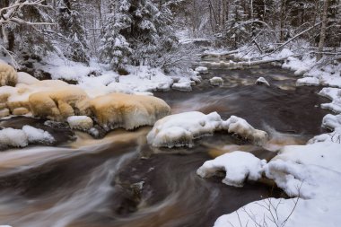 Orman nehri ile kış manzarası. Bir şelalenin deresinde buzla kaplı bir ağaç gövdesi yatıyor. Prokinkoski Şelalesi. Eski Finlandiya barajının kalıntıları, 1922. .Khikhniyoki nehri, Karelia Cumhuriyeti, Rusya