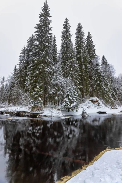 Winterlandschaft Mit Waldfluss Tal Der Wasserfälle Schneebedeckte Tannen Ufer Des — Stockfoto