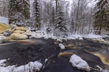 Orman nehri ile kış manzarası. Bir şelalenin deresinde buzla kaplı bir ağaç gövdesi yatıyor. Prokinkoski Şelalesi. Eski Finlandiya barajının kalıntıları, 1922. .Khikhniyoki nehri, Karelia Cumhuriyeti, Rusya