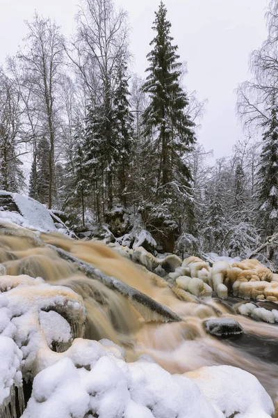 Paysage Hivernal Avec Rivière Forestière Tronc Arbre Recouvert Glace Trouve — Photo