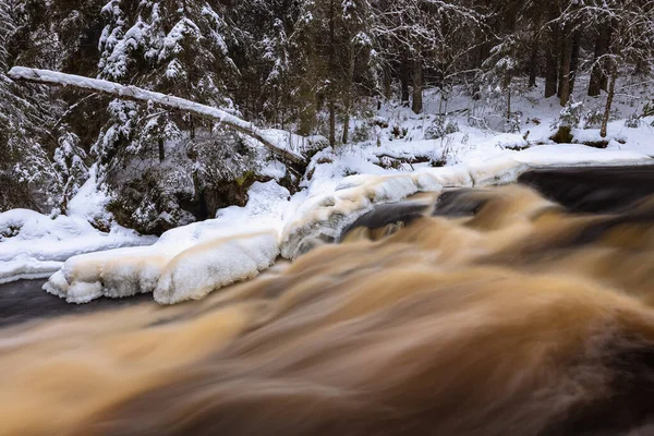 Paysage Hivernal Avec Rivière Forestière Vallée Des Cascades Sapins Couverts — Photo