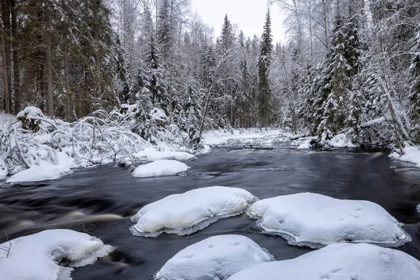 Zimní Krajina Lesní Řekou Údolí Vodopádů Sněhem Pokryté Jedle Břehu — Stock fotografie