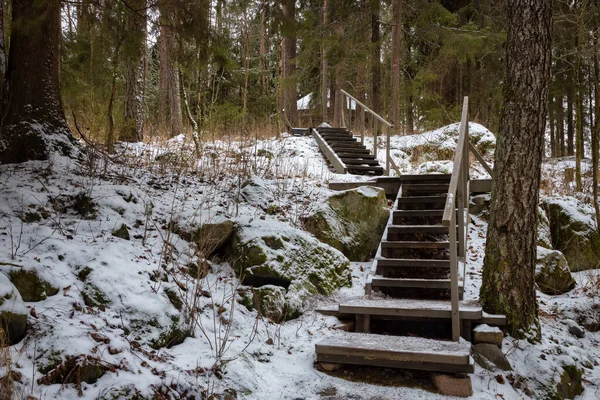 Escalera Madera Bosque Que Conduce Capilla República Karelia Rusia —  Fotos de Stock