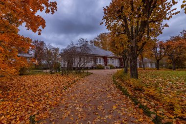 Manor Mikhailovskoye Ekim 'de. Puşkin 'in ailesinin Mikhailovskoye köyündeki evine giden yol.