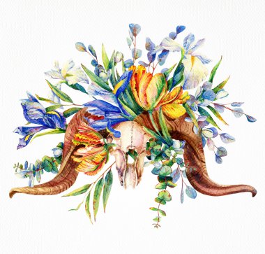 Keçi kafatasında çiçekler. Suluboya resim.