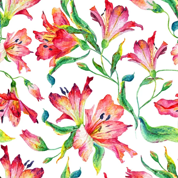 Kırmızı lilyum ile Seamless Modeli.