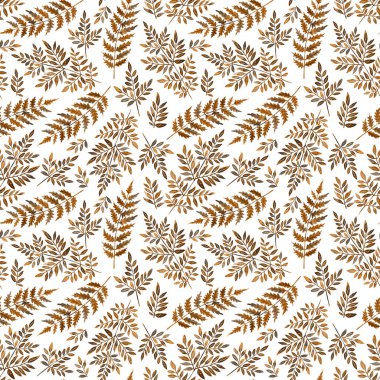 Sonbahar Çiçeksiz Şablon, oklu renk eğreltiotu. Suluboya orman yaban yaprakları. El çizimi Resim. 