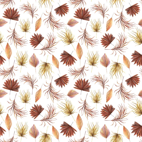 Tropical Seamless Pattern Αποξηραμένα Φύλλα Φοίνικα Παλάμη Terracotta Areca Καστανή — Φωτογραφία Αρχείου