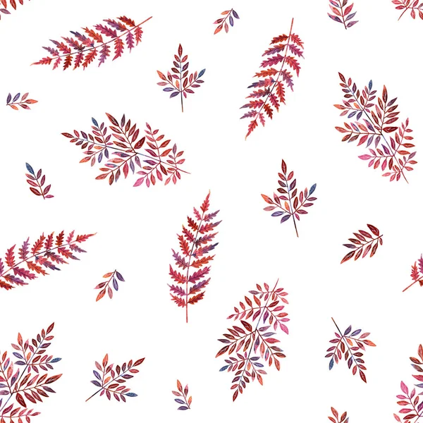 Φθινόπωρο Floral Seamless Pattern Μπορντό Φτέρη Αγριόφυλλα Του Δάσους Χειροποίητη — Φωτογραφία Αρχείου