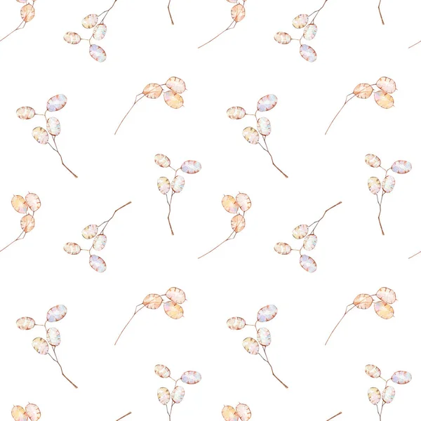 Lunaria Seamless Pattern Acquerello Floreale Fiori Secchi Carta Digitale — Foto Stock