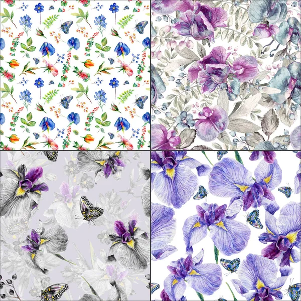 Fond Floral Sans Couture Iris Violet Bleu Pois Sauvages — Photo