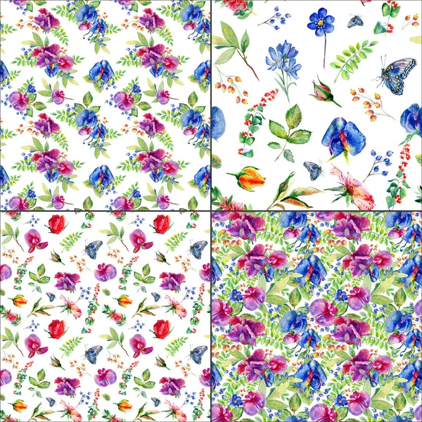 Seamless Floral Background Pink Blue Flower Pattern Wild Peas — Stock Photo, Image