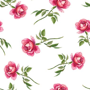 Pembe gül desenli suluboya dikişsiz çiçek arkaplanı