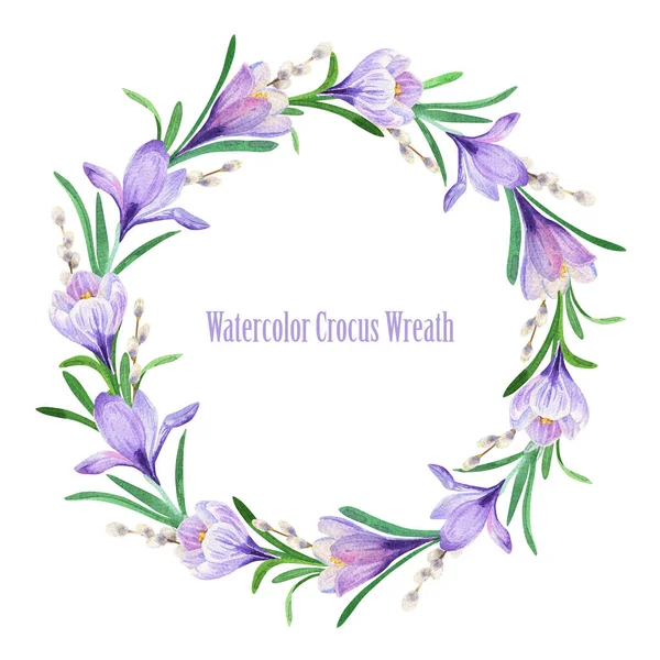 Spring watercolor wreath. Purple crocus frame with willow twigs
