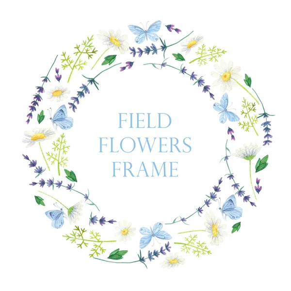 野生の花のフレーム カモミールラベンダーの花輪 水彩青蝶フレーム — ストック写真
