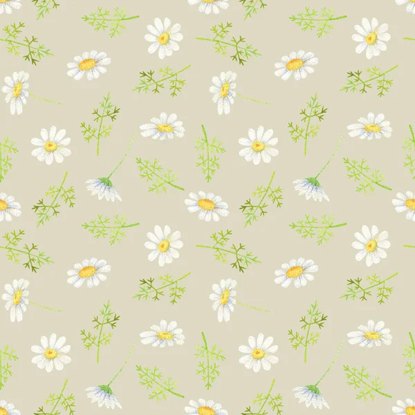 白いデイジーシームレスなパターン ベージュ地に水彩の野花 — ストック写真
