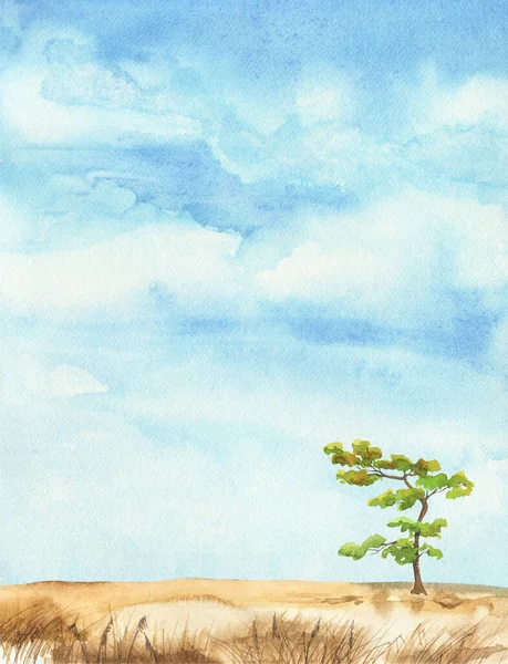 Samotne Drzewo Polu Akwarela Krajobraz Błękitne Niebo Ilustracja — Zdjęcie stockowe