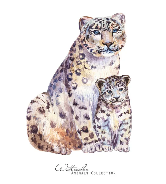 Ilustración Acuarela Leopardo Retrato Leopardo Nieve Madre Leopardo Cachorro —  Fotos de Stock