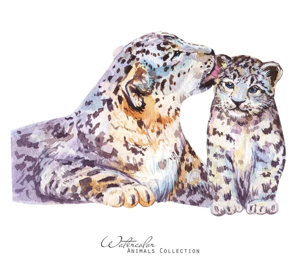 Ilustración Acuarela Leopardo Retrato Leopardo Nieve Madre Leopardo Cachorro —  Fotos de Stock