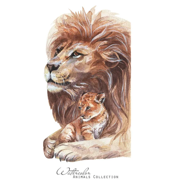 Lví Lví Portrét Lvi Rodina Akvarel Ilustrace — Stock fotografie