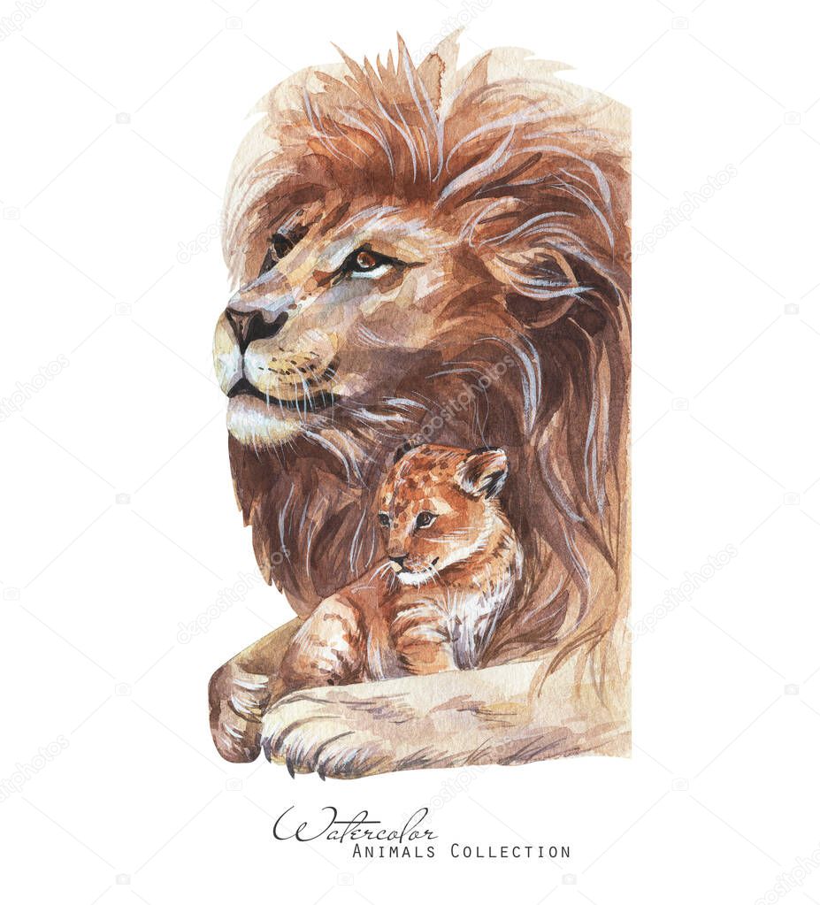 Lion and cub portrait. Lions family watercolor illustration