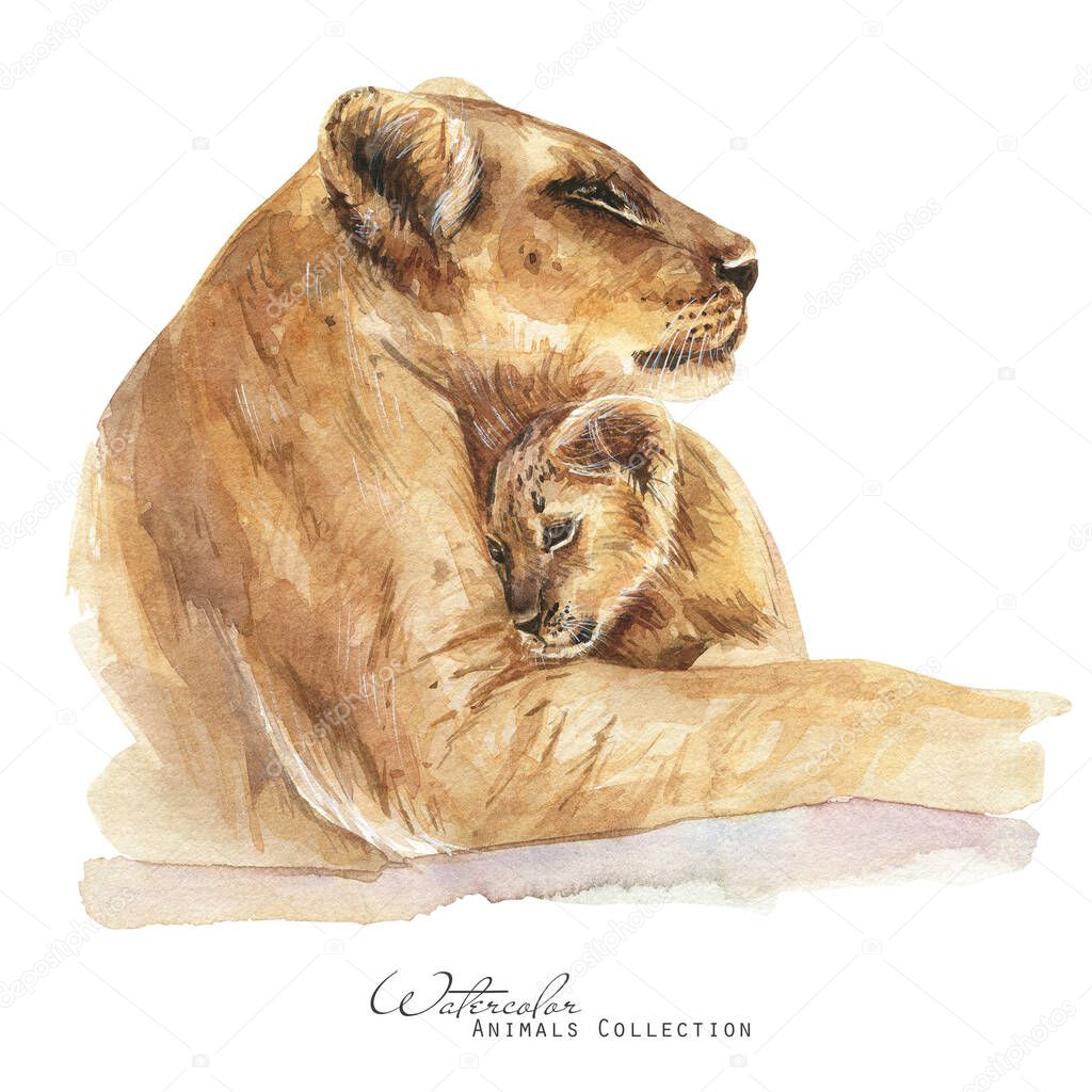 Lioness  and cub portrait. Lions family watercolor illustration