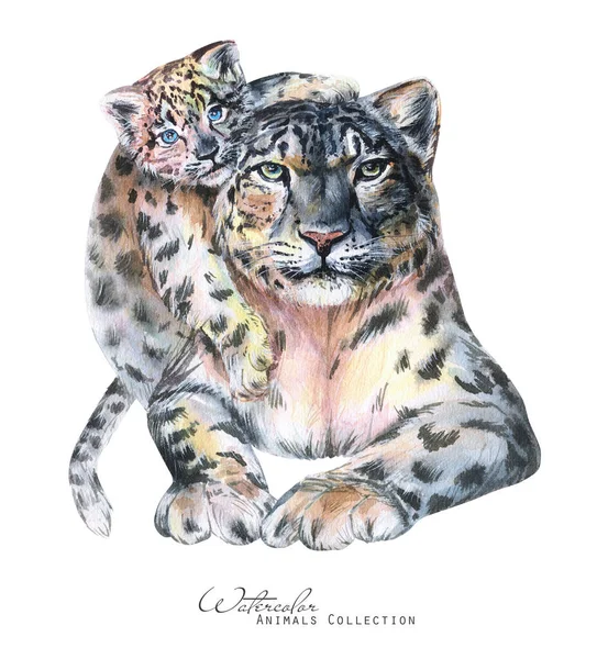 Ilustración Acuarela Leopardo Retrato Leopardo Nieve Madre Leopardo Cachorro —  Fotos de Stock