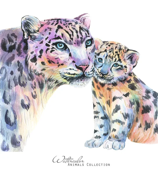 Leopard watercolor illustration. Snow leopard portrait. Mother leopard and cub