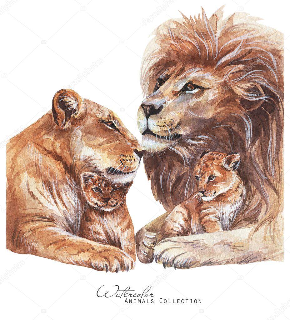 Lions family watercolor illustration. Lioness  Lion cub portrait