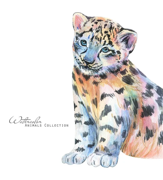 Ilustración Acuarela Leopardo Retrato Leopardo Nieve Leopardo Cachorro —  Fotos de Stock