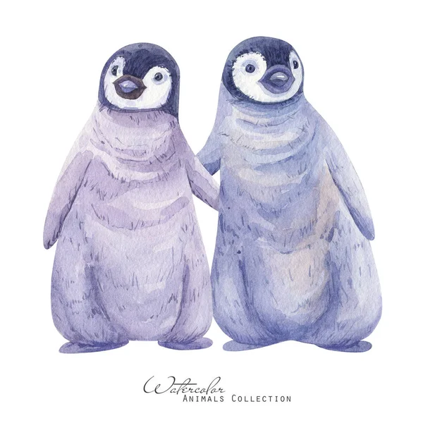 Pingüino Bebé Acuarela Ilustración Abrazos Pingüino Animales Árticos — Foto de Stock