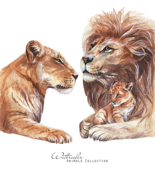 Lions Family Watercolor Illustration Lioness Lion Cub Portrait — Stock Photo, Image