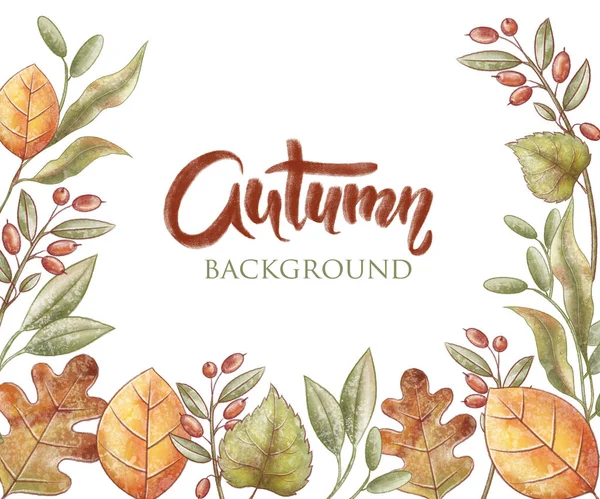 Autumn Background Fall Yellow Leaf Oak Linden Barberry Acacia Leaves — Stock Photo, Image