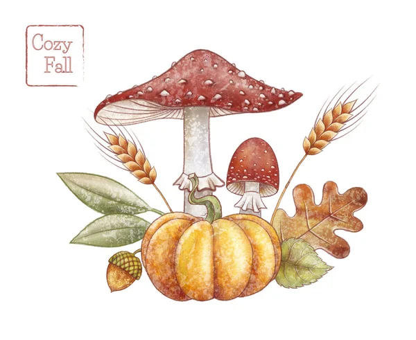 Svampar Pumpa Illustration Höstlöv Och Lind Vetekulor Fly Agarisk Handritad — Stockfoto