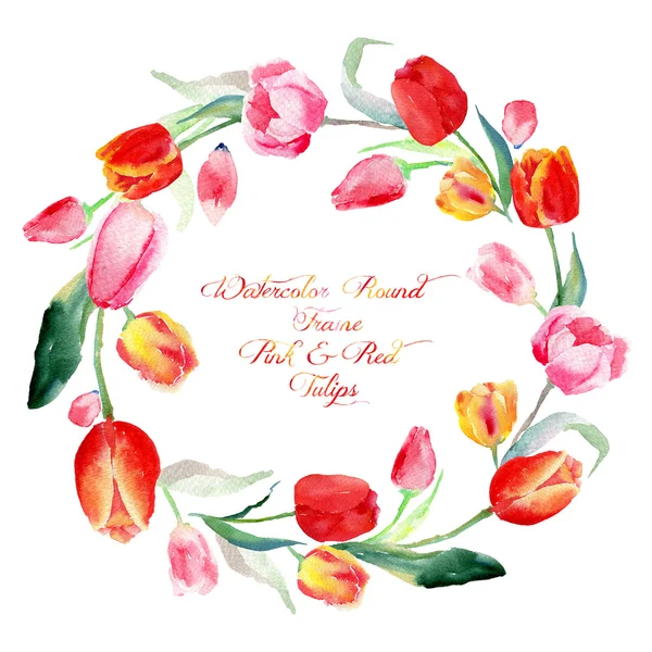 Round frame of  of watercolor pink, red and yellow tulips. — Stock Photo, Image