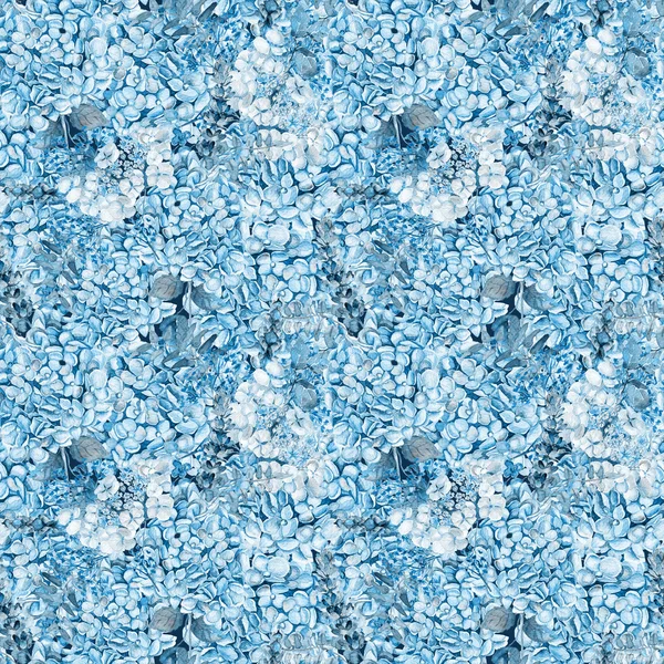 완벽 한 패턴입니다. 수채화 블루 수 국, 라벤더, 건포도. — 스톡 사진
