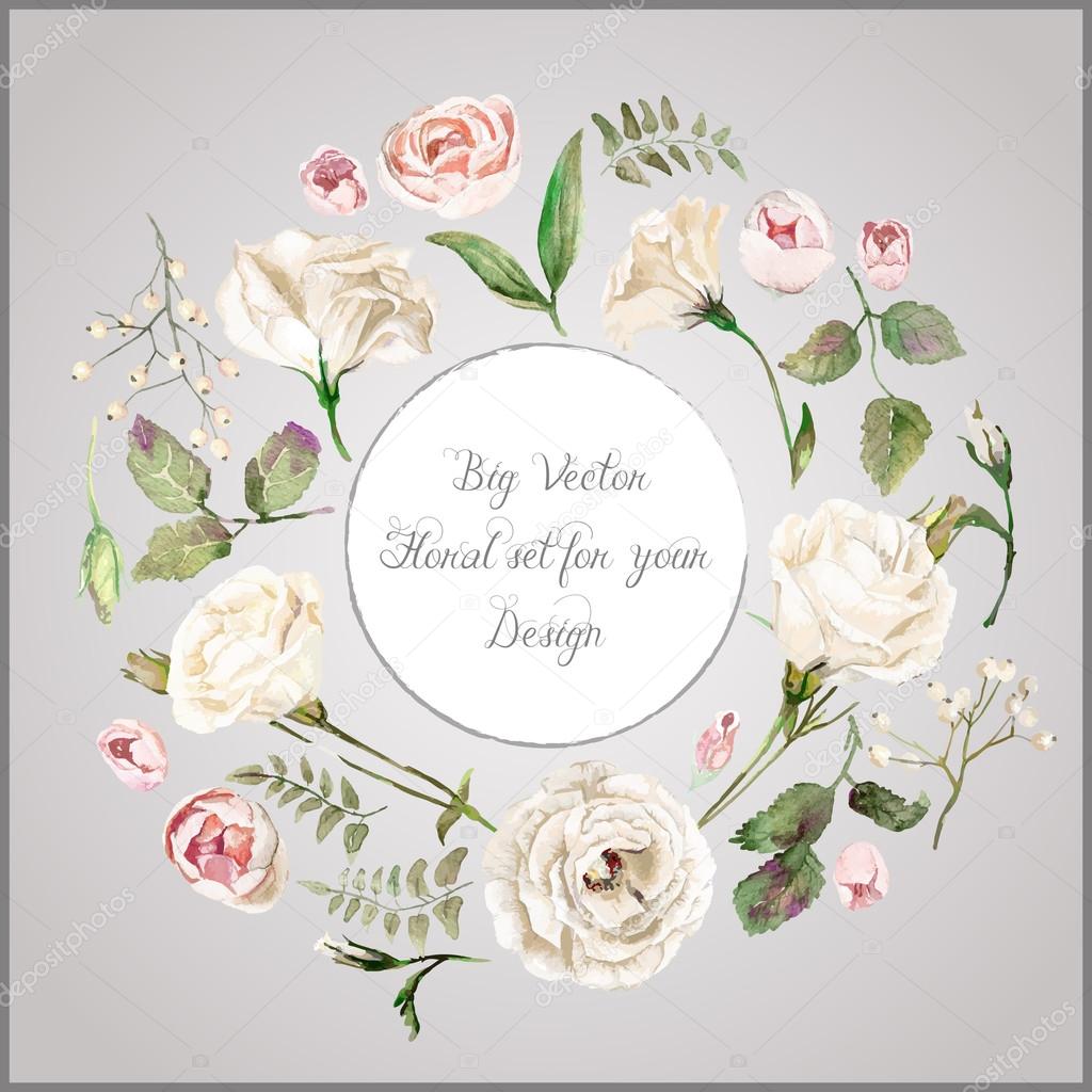 Vector set of different white, beige flowers for design. 