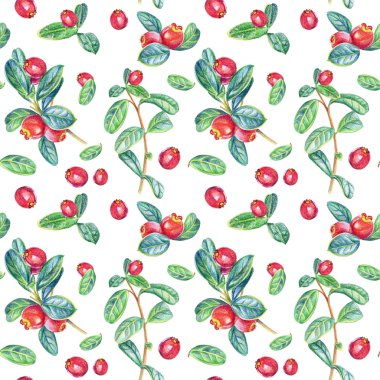 Yaban mersini ile Seamless modeli. Renkli kalemler ile çizim.