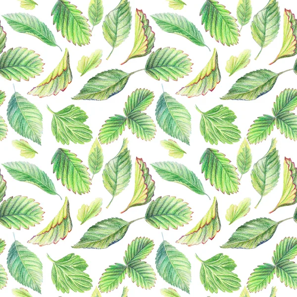 잎을 가진 완벽 한 패턴입니다. 색연필으로 그리기. — 스톡 사진