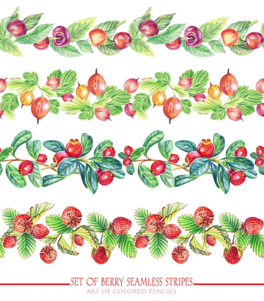 Set with seamless ornamental floral and berries stripes. — Stock Photo, Image