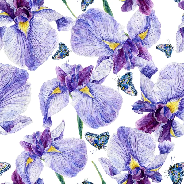 Modèle sans couture. Aquarelle iris, feuilles, papillon . — Photo