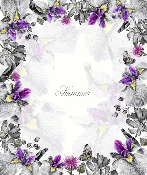 라일락 수채화 붓 꽃, 나비, cornflowers, 블루 프레임 — 스톡 사진