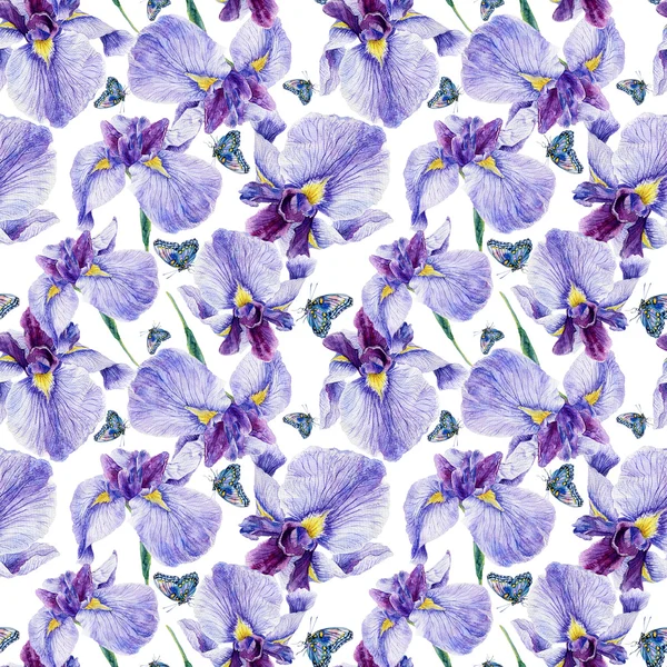 Seamless pattern. Watercolor iris, leaves, butterfly. — Stock Photo, Image