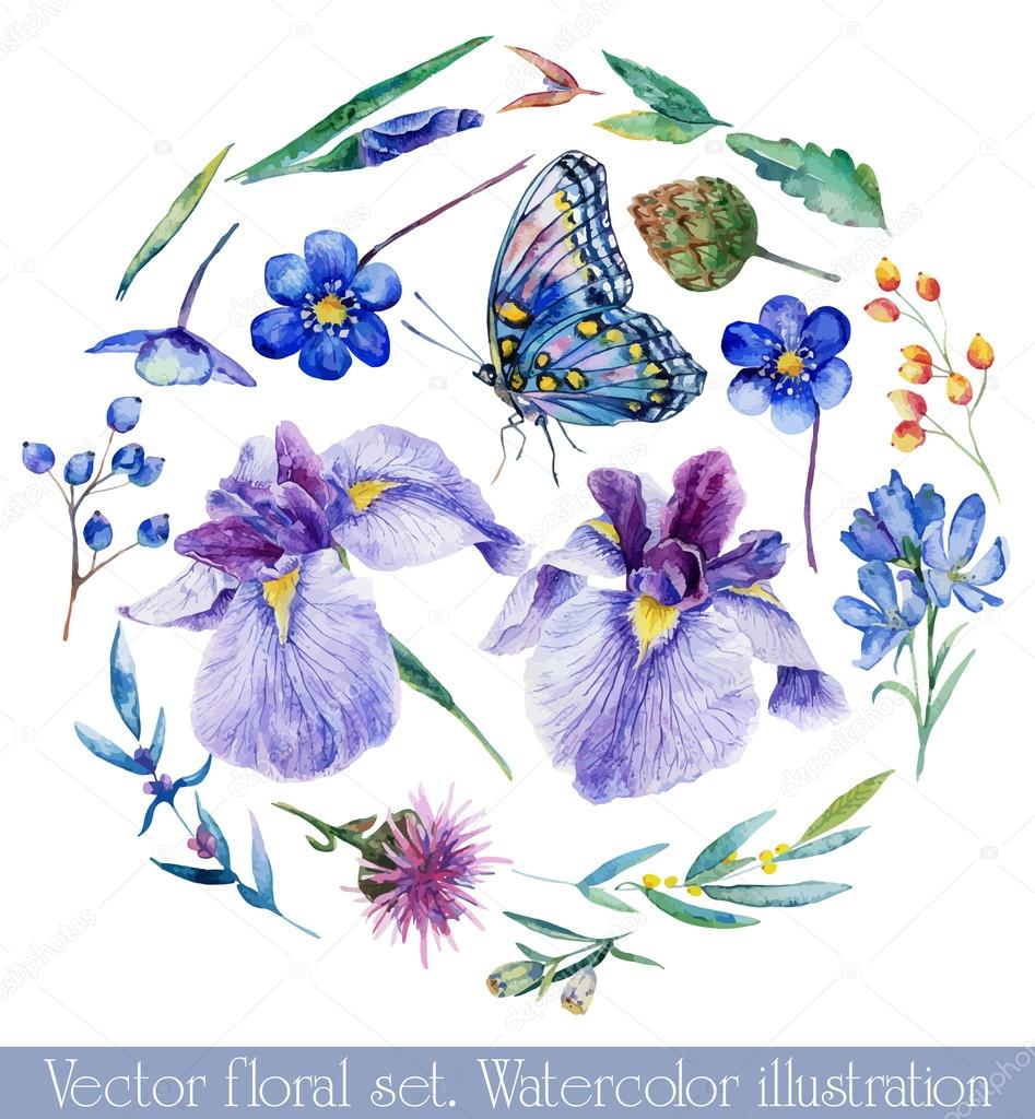 Vector set of different blue, lilac flowers for design.