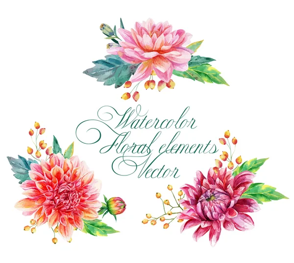 Conjunto de elementos florales para diseño. — Archivo Imágenes Vectoriales